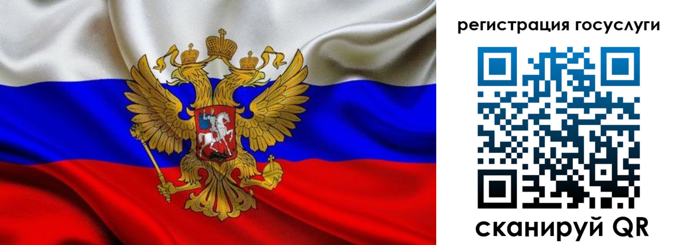 прописка гарантия в Зеленогорске
